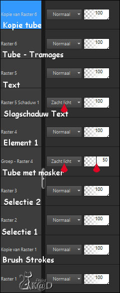 BL69_PS8_Resultaat