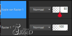 BL70_PS4_Resultaat
