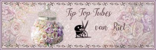 Banner_TipTopTubesRie